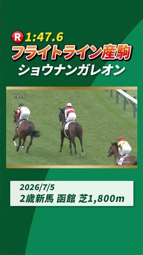 [Flightline Progeny] #ShonanGalleon Wins Debut in 2-Year-Old Course Record! #shorts | JRA Official