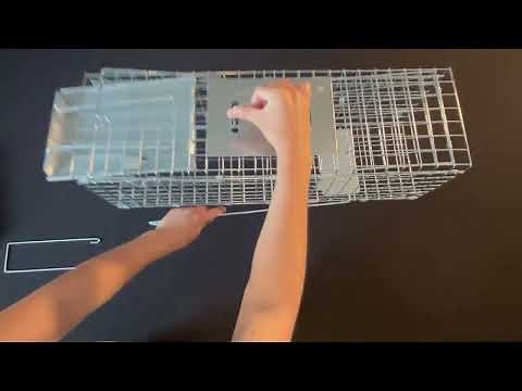 How to Set Up Answer Wildlife Cages & Cage Coats (2025)