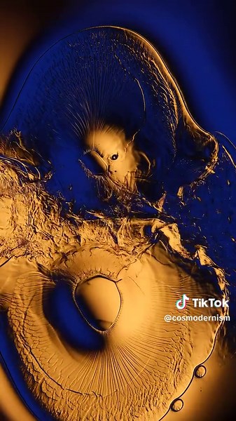 Microscopic Liquid Dynamics Soundscapes