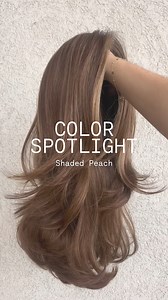 The perfect layers don’t exi- Our search for the ultimate fall wig is over! 👏 Miranda by Jon Renau looks absolutely stunning in Shaded Peach. We can’t get enough! Style shown: Jon Renau Miranda in Shaded Peach Save 30% on Miranda and other gorgeous styles with code BIG30 for a limited time! Comment LAYERS for the link to this stunning style! . . . #wigs #shopwigs #alopecia #thinninghair #besthair #wig #bestwigs #femalehairloss #hairloss #trendingwigs | Name Brand Wigs