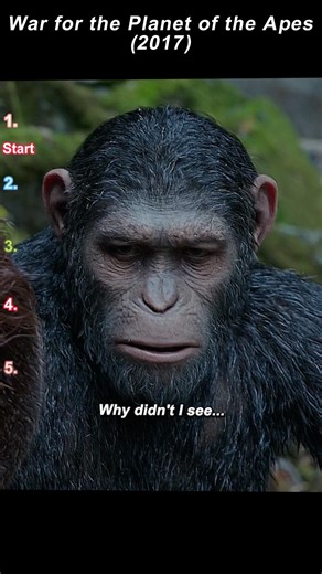 #movie #film War for the Planet of the Apes (2017) | Blue Eyes and Rocket Return from Their Journey