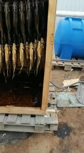 Fish Drying Rack: Preserving Caught Fish Effectively