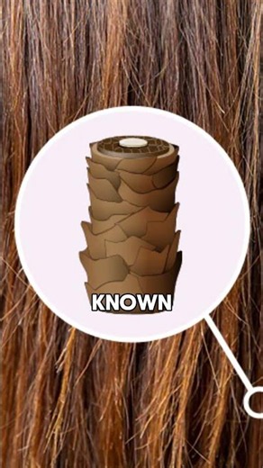 How to find your hair type 🤔