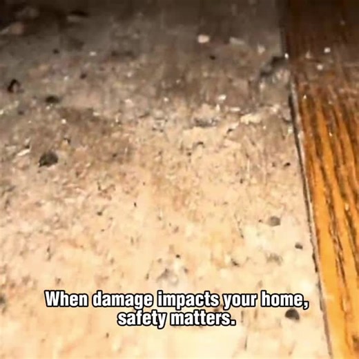 Restoration Solutions By Elite | We’re proud to serve our community with trusted restoration services built on integrity and hard work. When damage happens, Restoration... | Instagram