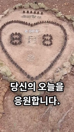 오늘도 움직임 완료! | 8월 8일 솔방울 달력
