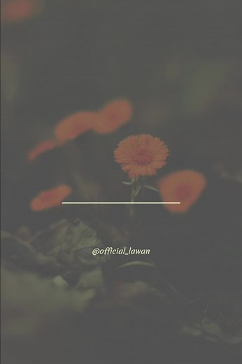 Hamisu Breaker Jaruma Lyrics