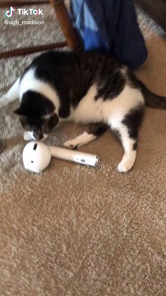 Buying AirPods from Wish: Unboxing and Review