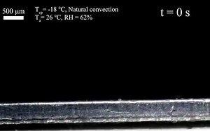 水平冷板表面结霜过程(The whole frosting process on a cold plate)