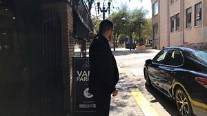 29K views · 115 reactions | Camry's powerful stance and captivating...