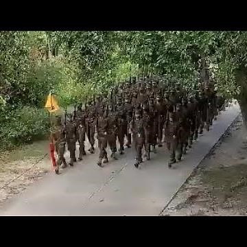 Mastering the USMC Marching Cadence: Tips & Tricks