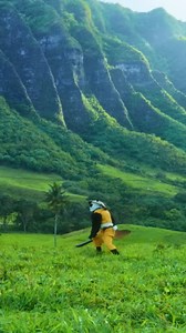 How to Throw a Ninja