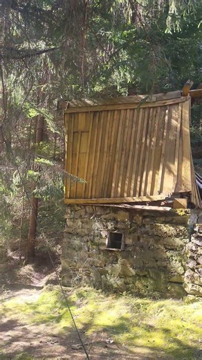 The Sound of Spring! #nature #apuseni #mountains