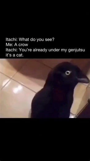 what do you see 👀😂#subscribe#shorts#naruto