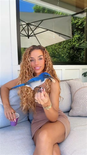 Highlight of my day 🐦 These California Scrub Jays are the most social birds in socal & I love them dearly ! The original bird is named Birdie. We are deciding on a name for the other one it’s between two names 💙 | Jena Frumes