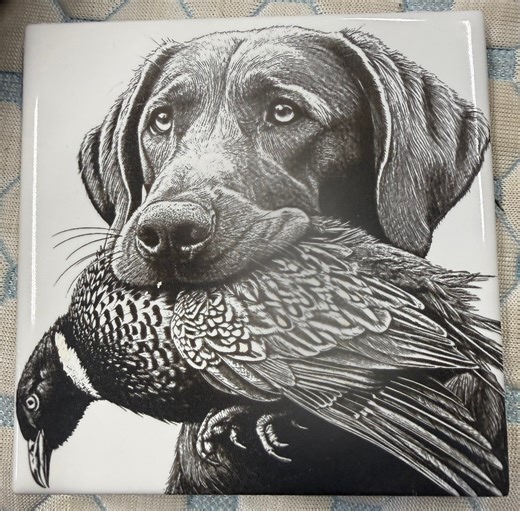 Laser Engraving for Beginners by VectorWitch | Some more white tile | Facebook