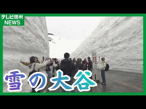 A breathtaking sight! Tourists are thrilled by the 12-meter-high snow wall, "Snow Valley," as the...