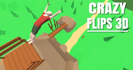 Crazy Flips 3D