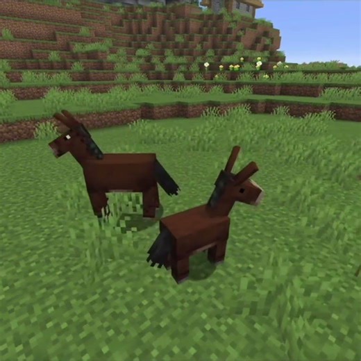 Cutest Minecraft baby mobs: NUMBER 9🫏