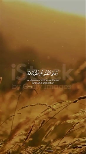 listen Quran to reset your heart and subscribe