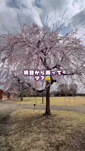 めぐおっちが、4/11東雲公園に遊びにくるよ^ - ^