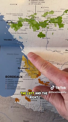 Understanding Bordeaux Wines in 30 Seconds