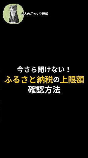 【大人のざっくり理解】ふるさと納税の上限/確認方法