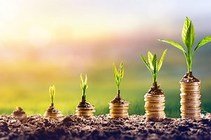 A guide to critical Sacco matters and why Stima Sacco is a worthy choice