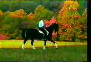 Horse Ballet Jean Luc Cornille “Musicians in general are intelligent and the time spent on extensive explanation and advice is well spent.” (A. B. M. (Boni) Rietveld, Dancers’ and musicians’ injuries) “Injuries are caused by bad luck, fatigue, and stress, but, most of all, by faulty technique.” Boni Rietveld is an orthopaedic surgeon who devoted his professional life entirely to the prevention, diagnostics, and treatment of dancers’ and musicians’ injuries. Analogies between humans and equines h