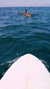 Deep Sea Fishing on Reels