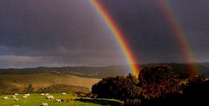 10 Beautiful Types of Rainbows