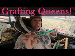 Grafting Queens 4/23/2023