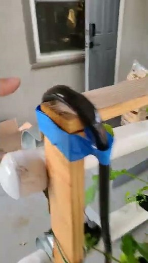 Vertical hydroponic system with PVC pipes