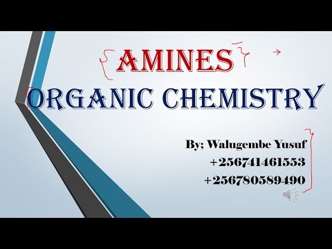 Amines and Derivatives Organic Chemistry (Advanced level)