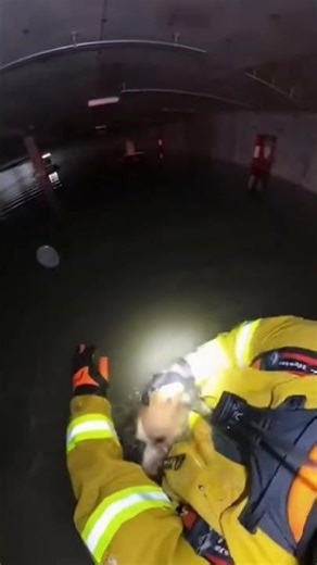 Hero Firefighter Saves Trapped Dog from Flooded Garage. #povextreme #POV #ViralVideo #RescueMission