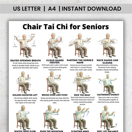 Chair Tai Chi for Seniors Printable Poster PDF, Seated Tai Chi Exercises, Balance & Gentle Home Workout Chart - Etsy Canada