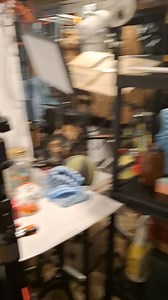 Odessa Rose on Reels