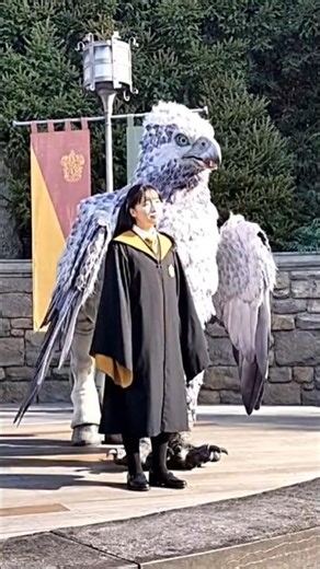 Universal Studios Japan - The Wizarding World of Harry Potter - Hippogriff Magical Lesson