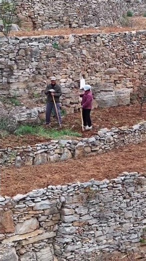 Chinese highlands scenery #shorts