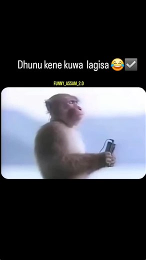 funny_assam_2.0 on Instagram: "Dhunu kene kuwa lagisa 😂😂 #viral #assam #instagram #assameseviralvideo #assameseviralcallrecoding #newreels #prankcall #callvideo #memepage #prankcoll #trendingreels #trending"
