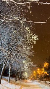 Bilmez idim dert verer Derdimin dermanları Gün geler pişman olar Nefsinin kurbanları Dünya tahtından salar Şahları Sultanları Etibarsız dünyaya Etibar etmek günahdı.. . . #reelsinstagram #keşfet #manzara #❤️ #instagram | Özlemin bloğu