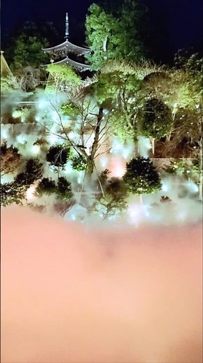 雲海(ホテル椿山荘東京庭園)✨️Sea of clouds(Hotel Chinzanso Tokyo Garden)