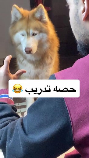 حسابات مقترحة