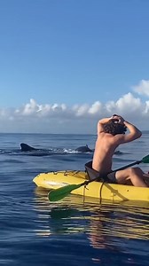 1.2M views · 14K reactions | I know people are going to freak out so...