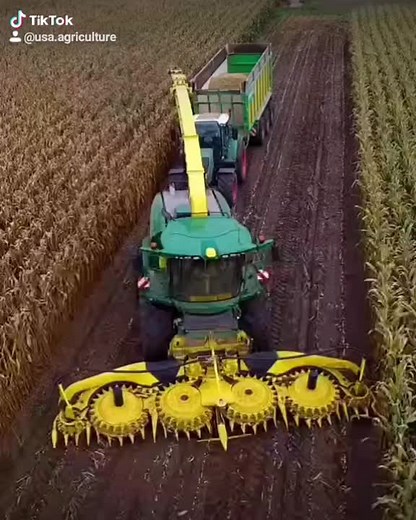 Silage 2020: John Deere Corn Chopping Begins