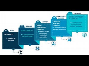 Data Quality Maturity Model (DQMM)