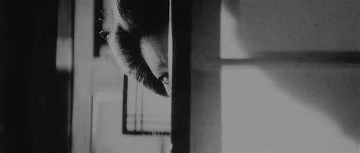 The Sword of Doom. 1966 / Kihachi Okamoto