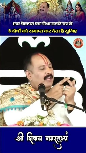 A Bel Patra plant eliminates 5 defects in our home, listen to this #pandit_pradeep_ji_mishra