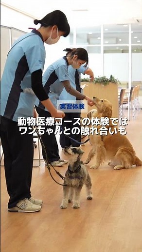 帝京平成大学オープンキャンパス(千葉キャンパス)