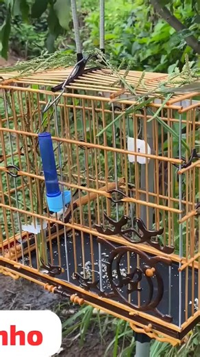 bigode mutação na natureza #mutacao #vaiprofy #papacapim #bigodinho #bigodinhodefibra