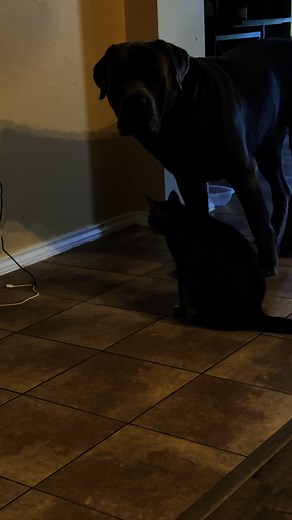 Exhibit A | Latoya Greene